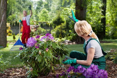 Customer raising a landscaping complaint through a structured review process