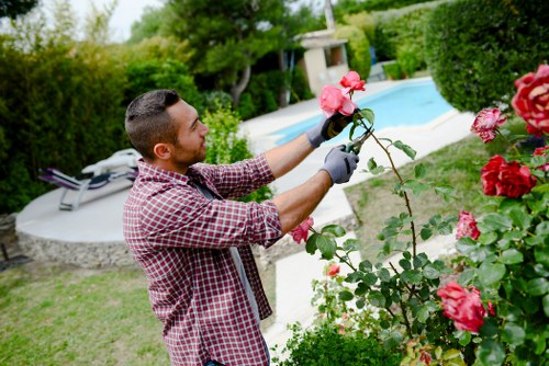 Closure of a landscaping complaint after fair resolution