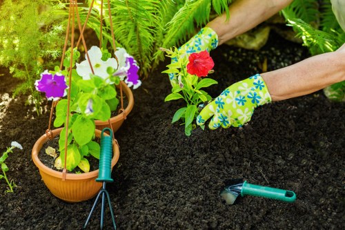 Accessible landscaping content displayed at the start of the statement