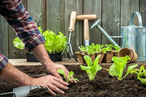 Illustration of ethical landscaping workers under a modern slavery prevention policy