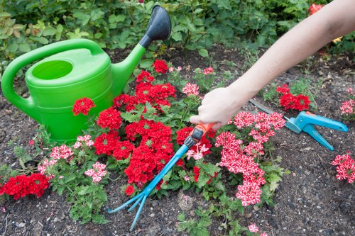 Low-maintenance garden transformation suitable for Tottenham terraces and courtyards