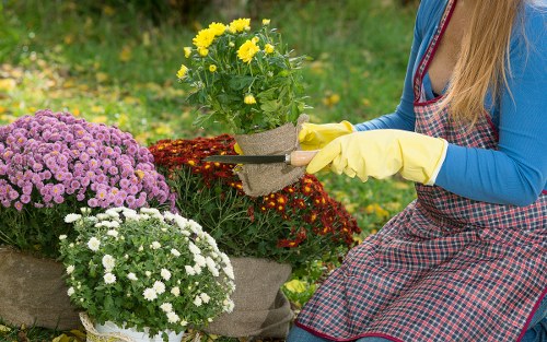 Waste removal and site clearance for landscaping work