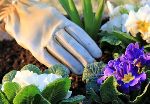Free quote policy for landscaping services in Tottenham