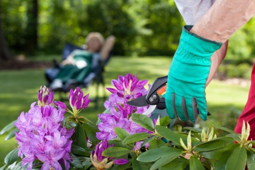 Commitment to ethical and lawful landscaping practices in Tottenham