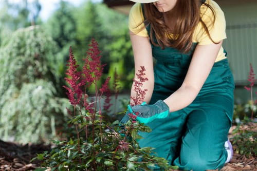 Section about accessibility support for Tottenham landscaping services