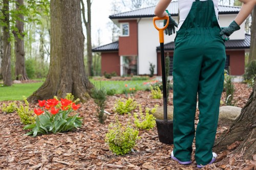 Professional garden landscaping in Tottenham for residential and commercial outdoor spaces