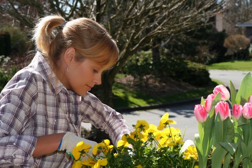 Landscaping pricing explained for a narrow-access Tottenham garden